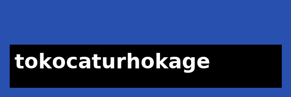 tokocaturhokage logo